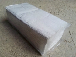 ZZ ručník papírový, recykl.,250 x 220 mm, 250 ks/bal.