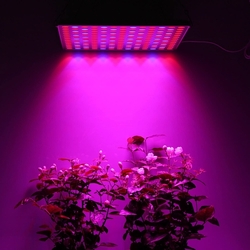 LED lampa na pěstování rostlin