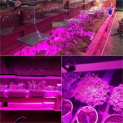 LED lampa na pěstování rostlin