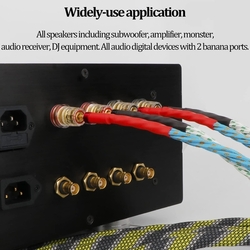 High-End reproduktorový kabel - bezkyslíkatá měď, 2x 6,3 mm² / 2,5 m