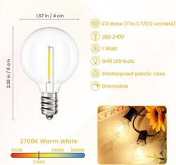 Svater 25 kusů 1W, G40, čiré kulaté LED žárovky 230V, stmívatelné