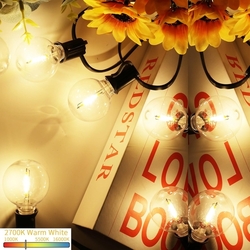 Svater 25 kusů 1W, G40, čiré kulaté LED žárovky 230V, stmívatelné