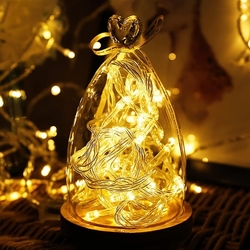 IRENUO Fairy Lights - LED světelný řetěz, 2 kusy v balení - jeden 10 x baňka - žárovka, druhý 50 led diod - teplá bílá
